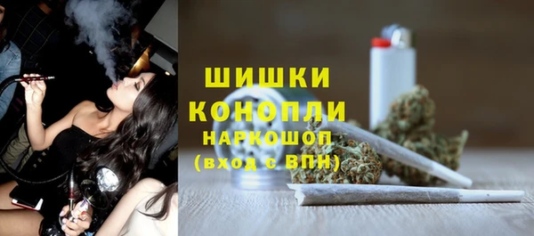 PSILOCYBIN Балабаново