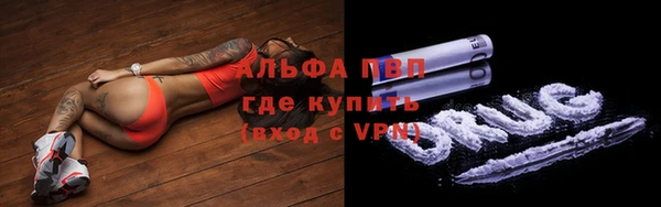 PSILOCYBIN Балабаново